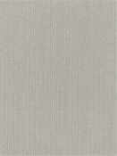 Spectrum Dove 48032-0000 Sunbrella Fabric